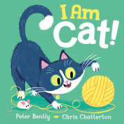 I Am Cat! 