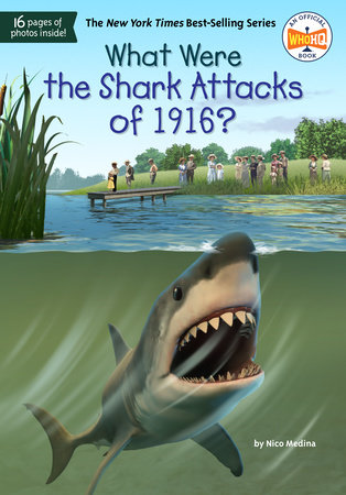 What Were the Shark Attacks of 1916? by Nico Medina, Who HQ