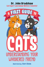 A First Guide to Cats: Understanding Your Whiskered Friend 