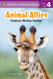 Animal Allies 