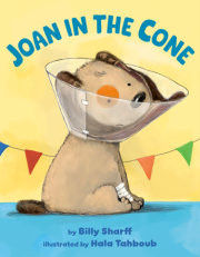 Joan in the Cone 