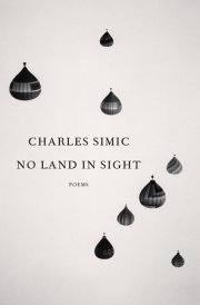 No Land in Sight 