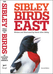 The Sibley Field Guide to Birds of Eastern North America