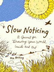 Slow Noticing 