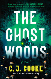 The Ghost Woods 