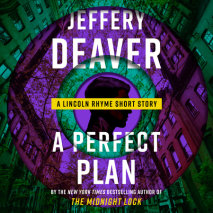 A Perfect Plan Cover