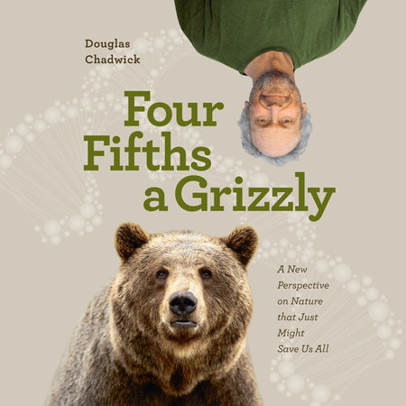 Four Fifths a Grizzly by Douglas Chadwick