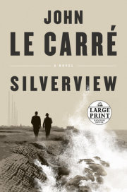 Silverview 