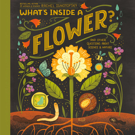 What's Inside A Flower? by Rachel Ignotofsky