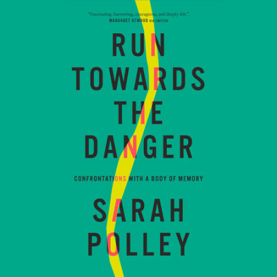 Run Towards the Danger cover