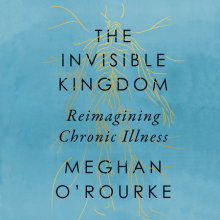 The Invisible Kingdom Cover