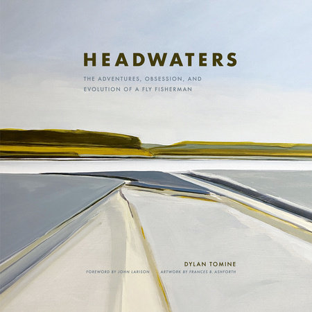 Headwaters by Dylan Tomine 9780593557099 PenguinRandomHouse Books