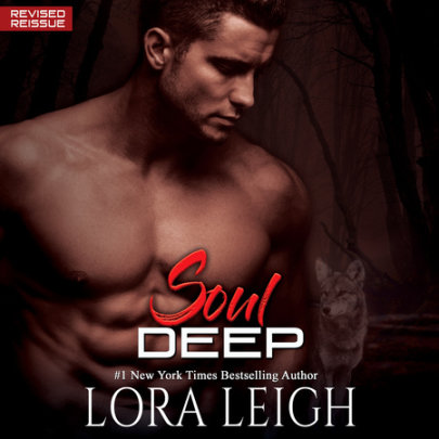 Soul Deep Cover