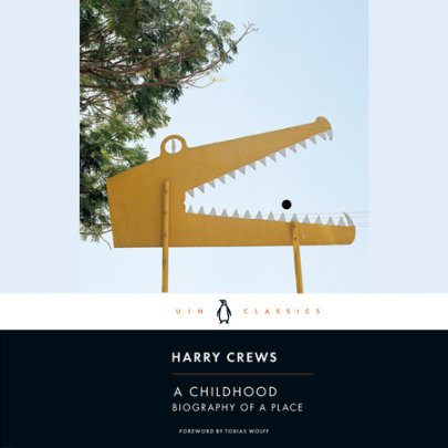 A Childhood Cover