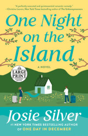One Night on the Island 