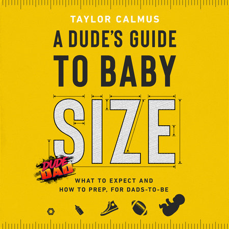 A Dude's Guide to Baby Size Cover