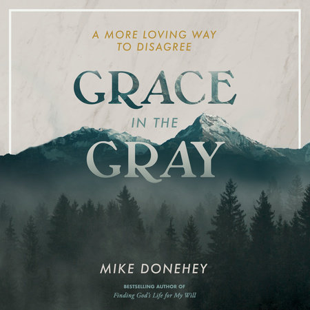 Grace in the Gray Cover
