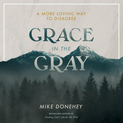 Grace in the Gray cover