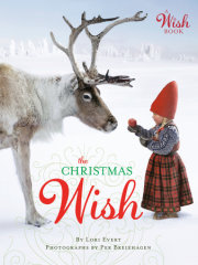 The Christmas Wish 