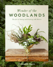 Wonder of the Woodlands 