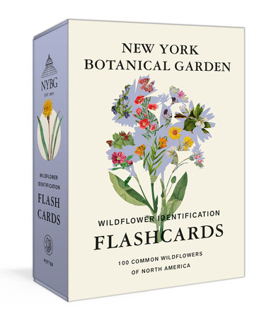 Plant Science Flashcards