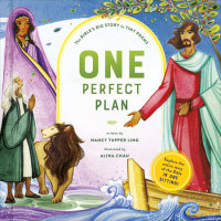 Cover of One Perfect Plan cover