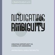 Navigating Ambiguity 