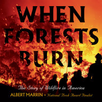 Cover of When Forests Burn cover