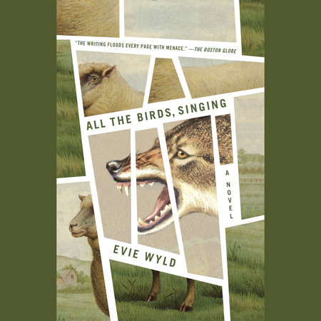 All the Birds, Singing Cover