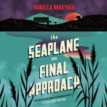 The Seaplane on Final Approach Cover