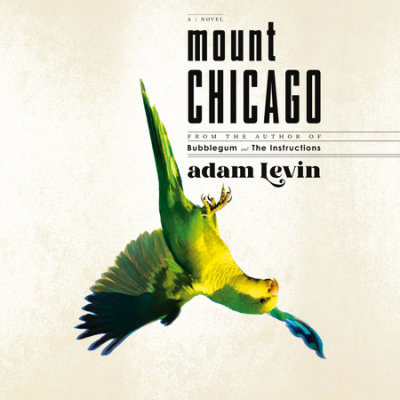 Mount Chicago cover