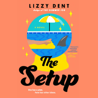 The Setup Cover