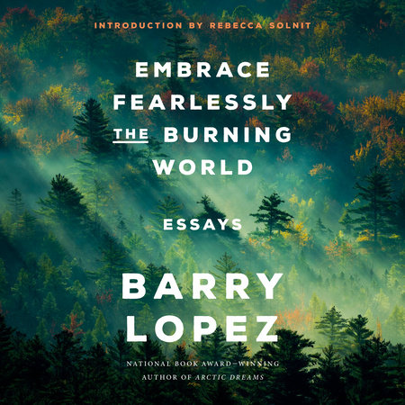 Embrace Fearlessly the Burning World Cover