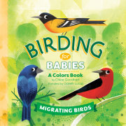Birding for Babies: Migrating Birds 