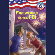 Capital Mysteries #6: Fireworks at the FBI