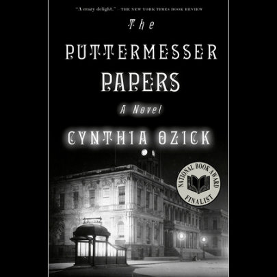 The Puttermesser Papers Cover