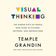 Visual Thinking 