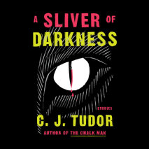 A Sliver of Darkness Cover