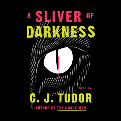 A Sliver of Darkness cover