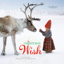 The Christmas Wish Cover