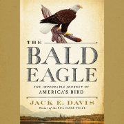 The Bald Eagle 