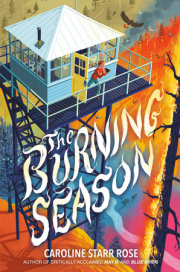 The Burning Season 
