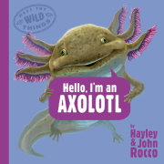 Hello, I'm an Axolotl (Meet the Wild Things, Book 4)