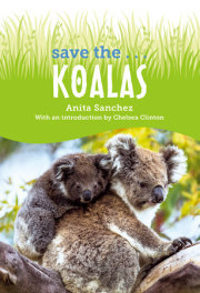 Save the... Koalas