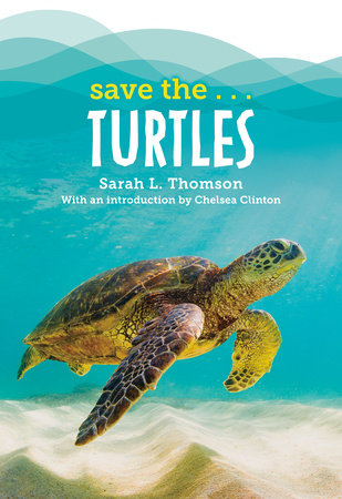 The Book of Turtles – HarperCollins