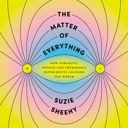The Matter of Everything Cover
