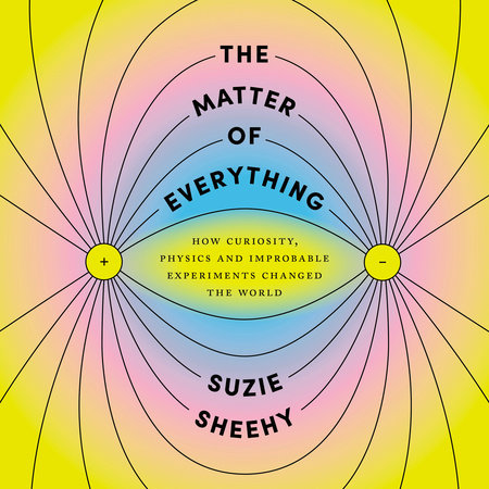 The Matter of Everything by Suzie Sheehy