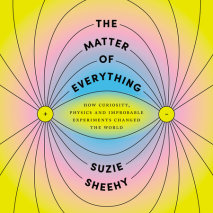 The Matter of Everything Cover