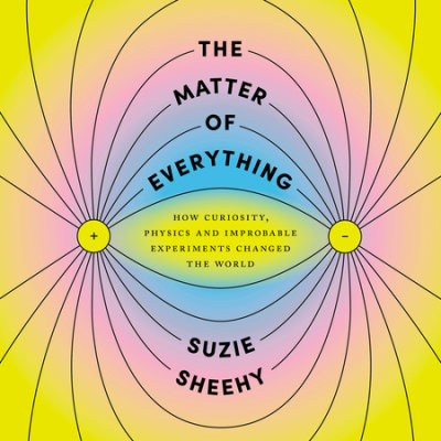 The Matter of Everything cover