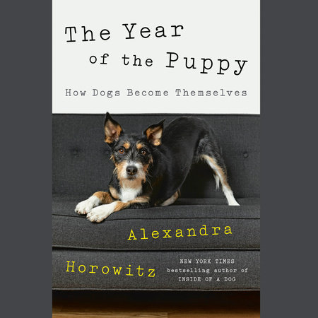 The Year of the Puppy Cover